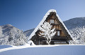 岐阜県　白川村　白川郷合掌造り集落　冬