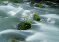 奥入瀬渓流、石の苔と渓流