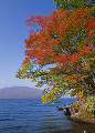 十和田湖と紅葉