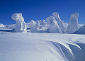 八甲田の雪景色