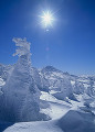 八甲田の雪景色