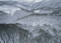 八甲田の雪景色