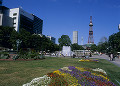 さっぽろテレビ塔と大通公園