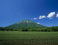 羊蹄山と田園風景