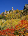 層雲峡の紅葉