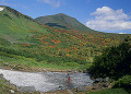 緑岳の紅葉