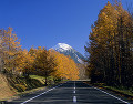 秋の羅臼岳と道路
