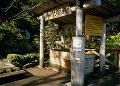 水飲み場　白神山地