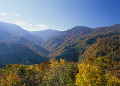 白神山地の紅葉