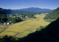 栗駒山と田園