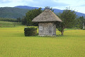 荒神神社と田園