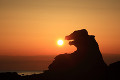 ゴジラ岩と夕陽