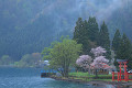 田沢湖の御座石