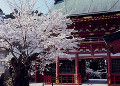 鹽竈神社