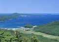 鮫浦湾