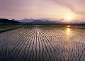 田園風景の夕日 七ツ森