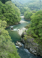 玉川渓流