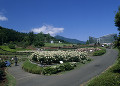 茨城県フラワーパーク