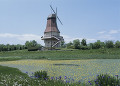 オランダ型風車