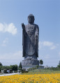 牛久大仏