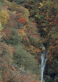 駒ヶ滝の紅葉