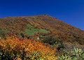 鬼面山の紅葉