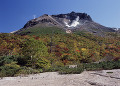 姥ヶ平から望む茶臼岳の紅葉