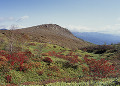 白根山の紅葉