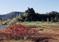 白根山の紅葉