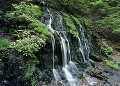 白水の滝
