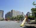 幕張ベイタウン　公園