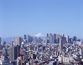 新宿高層ビル群と富士山