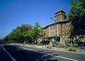 日本大通りと神奈川県庁本庁舎