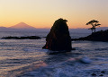 秋谷海岸の立石と富士山の夕景