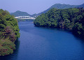 相模湖と桂橋