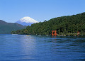 芦ノ湖と富士山