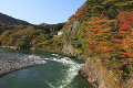 荒川峡もみじラインの紅葉