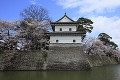 新発田城  二の丸隅櫓と桜
