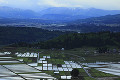 山本山からの田園風景