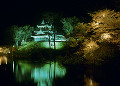 高田城跡公園の夜桜