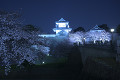 金沢城と桜の夜景