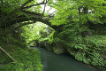 鶴仙渓とこおろぎ橋