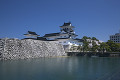 富山市郷土博物館と桜