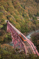 新山彦橋と紅葉