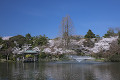 高岡古城公園の噴水