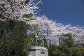 高岡古城公園の前田利長公像