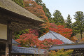 永源寺の紅葉