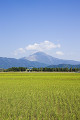 伊吹山と田園