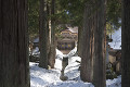 永平寺　唐門と雪