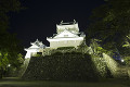 越前大野城の夜景